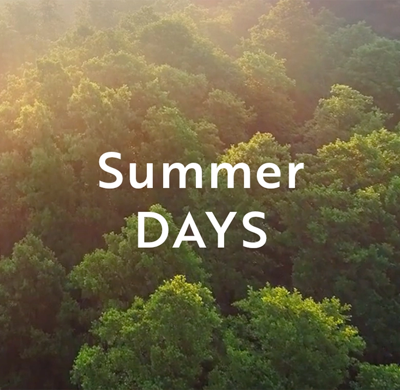 Summer Days